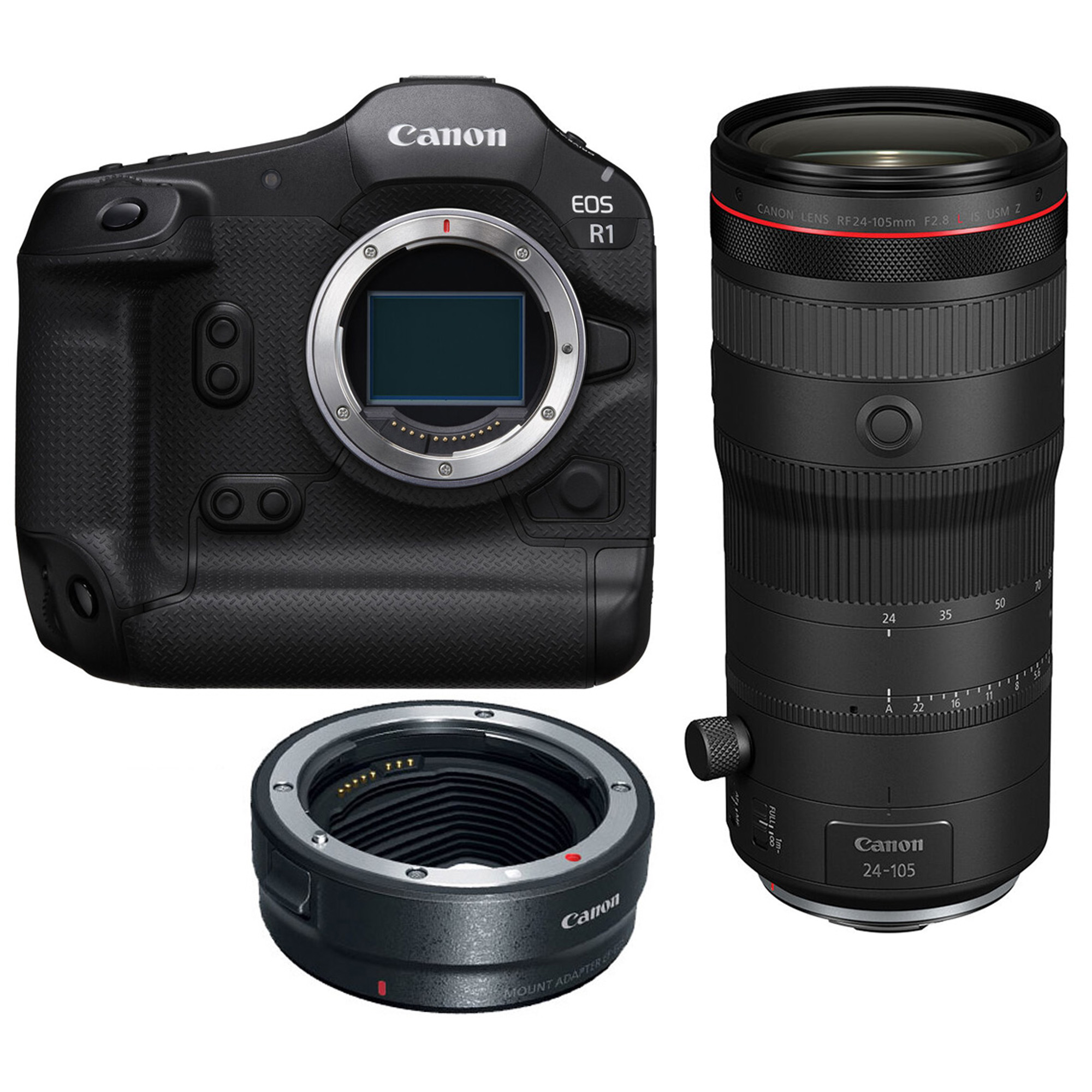 Canon EOS R1 24-105 Z + EF-EOS R mount adapter